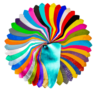 Riedell Color Lab Add-Ons